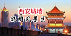 大鸡巴强操处女屄流血细节小说中国陕西-西安城墙旅游风景区